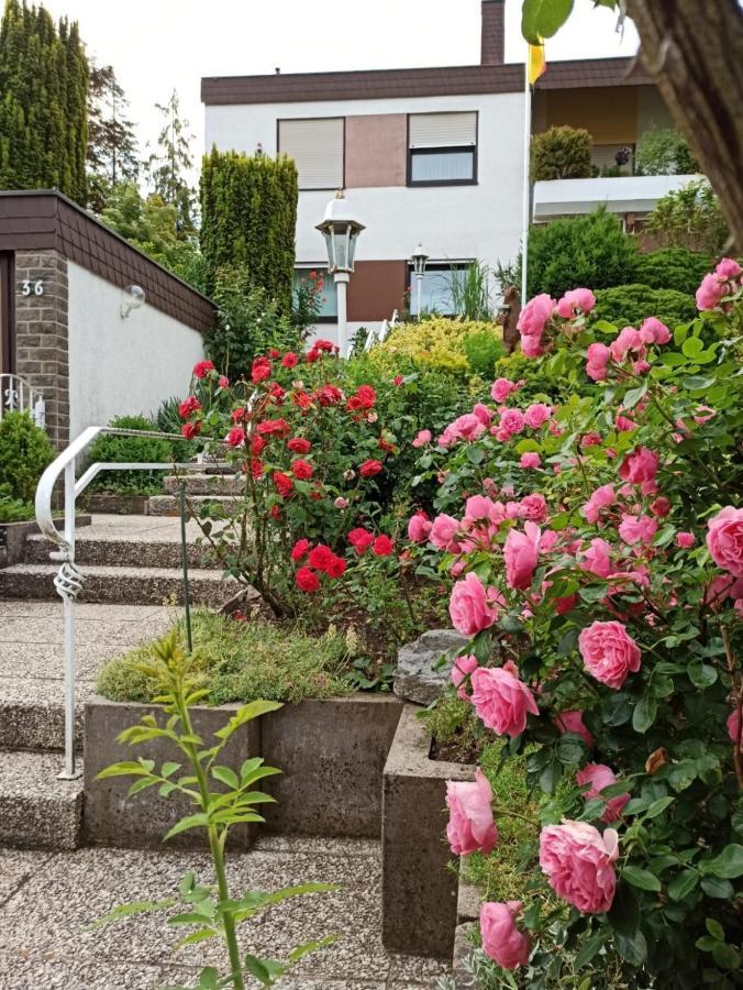 Ferienwohnungen Gala Bad Kissingen Exteriör bild