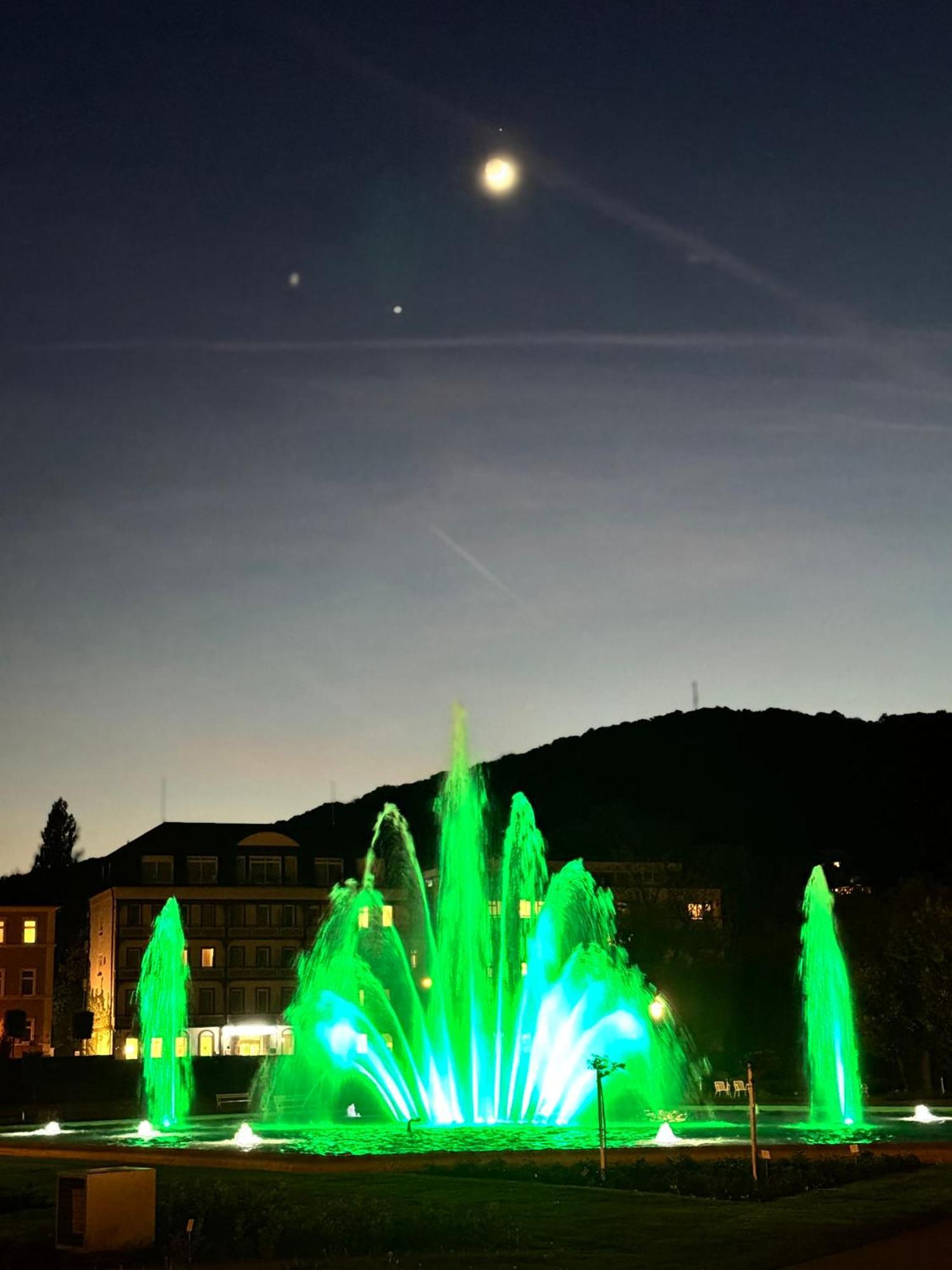 Apartments Gala, Ruhige Lage, Stadtnah Bad Kissingen Exteriör bild