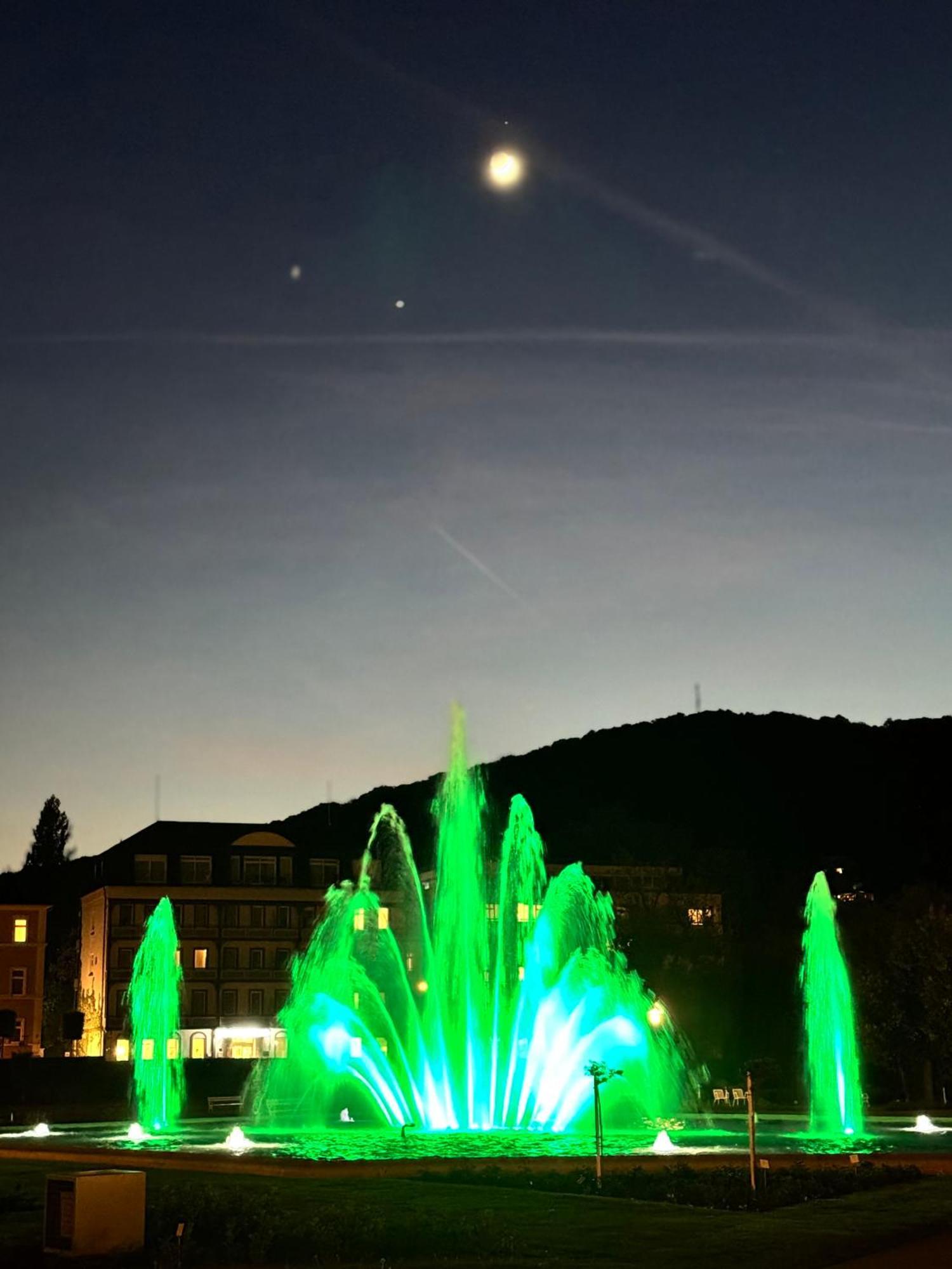 Apartments Gala, Ruhige Lage, Stadtnah Bad Kissingen Exteriör bild