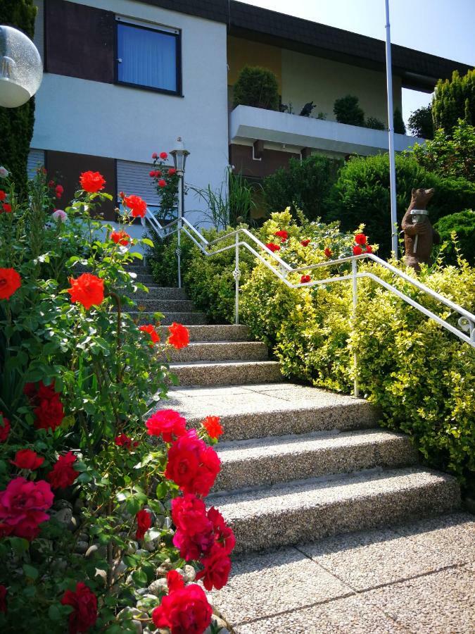 Apartments Gala, Ruhige Lage, Stadtnah Bad Kissingen Exteriör bild
