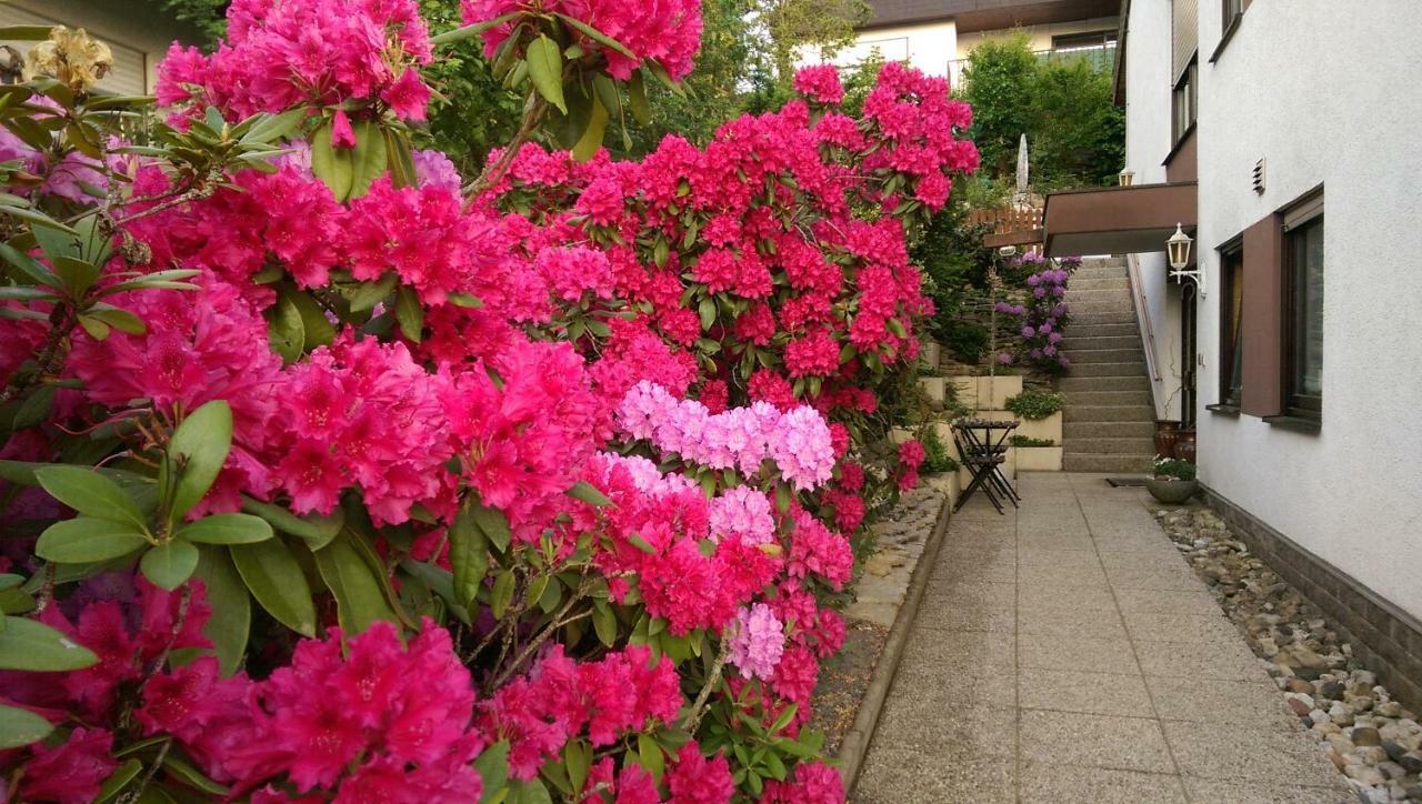 Ferienwohnungen Gala Bad Kissingen Exteriör bild