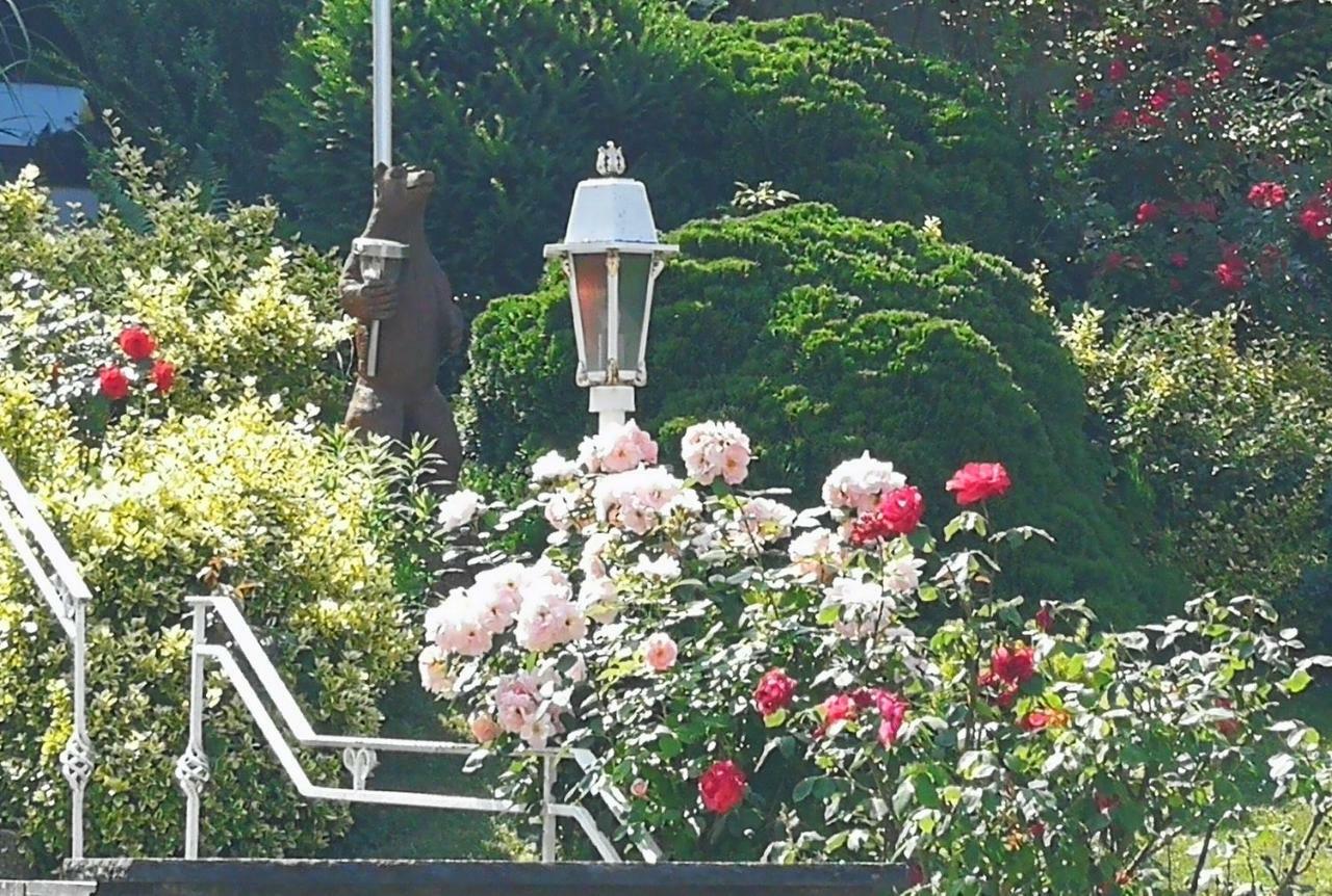 Apartments Gala, Ruhige Lage, Stadtnah Bad Kissingen Exteriör bild